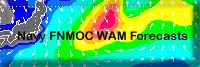 Navy FNMOC WAM Forecasts